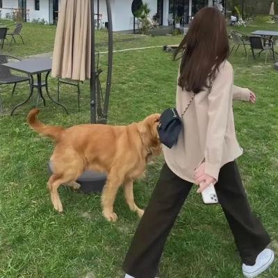 侵入者